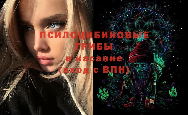 гидропоника Беломорск