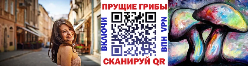 Псилоцибиновые грибы Cubensis  KRAKEN ТОР  Болохово 